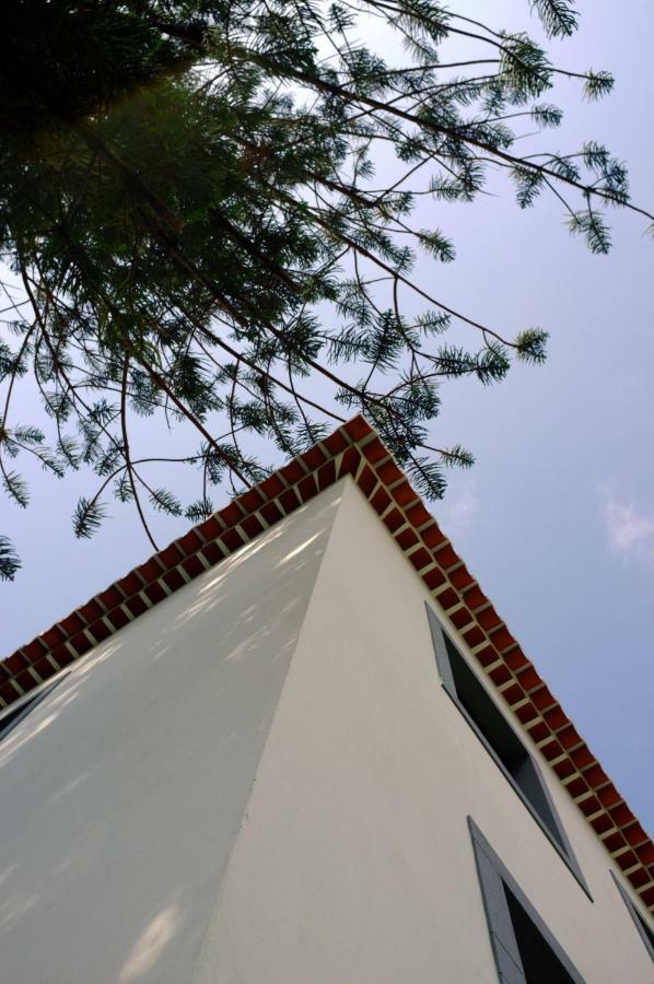 Casa Oliveira Esmeraldo - Guest Houses São Vicente 外观 照片