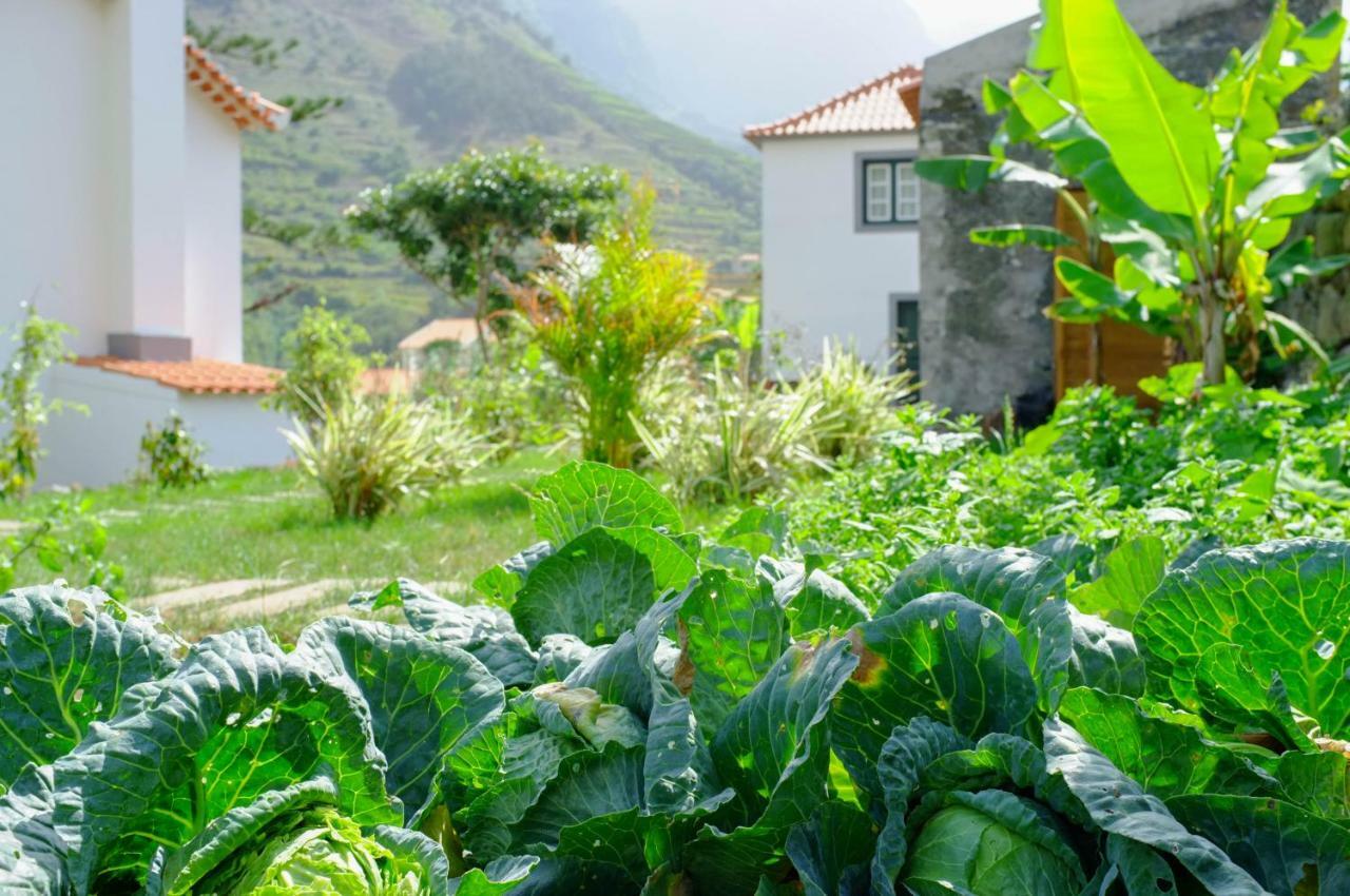 Casa Oliveira Esmeraldo - Guest Houses São Vicente 外观 照片